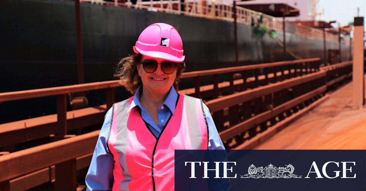 Gina Rinehart miner nets massive $7.3b profit off bumper year for iron - Vimarsana News
