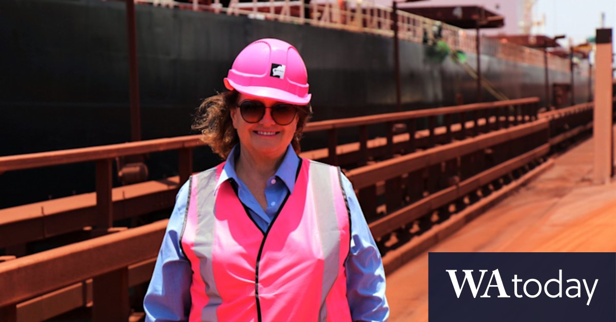 Gina Rinehart miner nets massive $7.3b profit off bumper year for iron - Vimarsana News