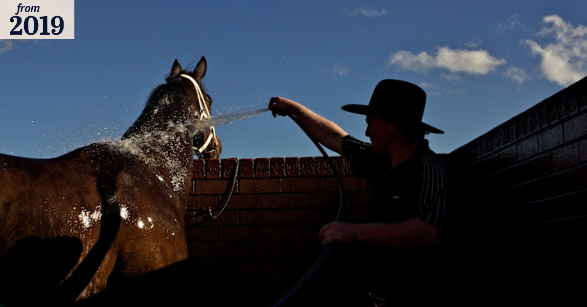 Race-by-race tips and preview for Gunnedah on Monday