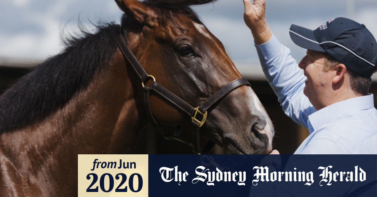 Rosehill Races Saturday Gary Portelli And Time To Reign Eye Spring Carnival After Classique Legend Style Winter Cameo