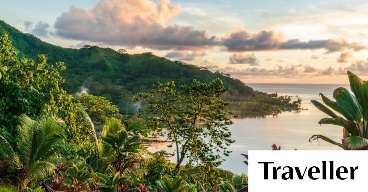 Where to buy cheap pearls: the one thing you must buy in Tahiti - Vimarsana News