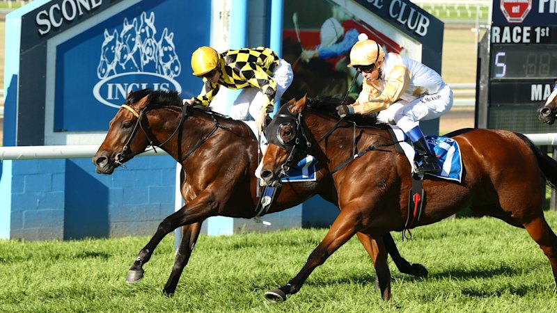 Tips and race-by-race guide for Scone on Tuesday
