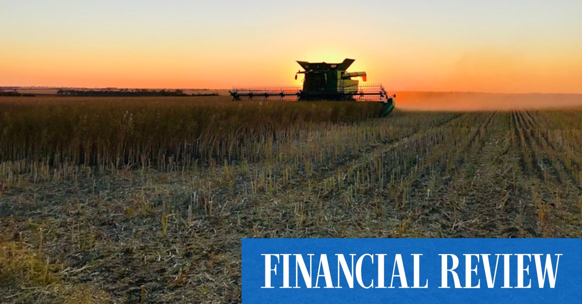 Farm owners cash in on surging prices - Vimarsana News