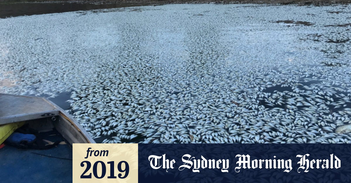 Barilaro #39 s backing of federal Murray Darling Basin royal commission