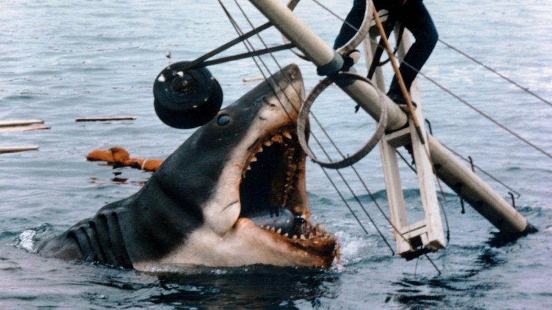 Shark Attack (Film) - TV Tropes