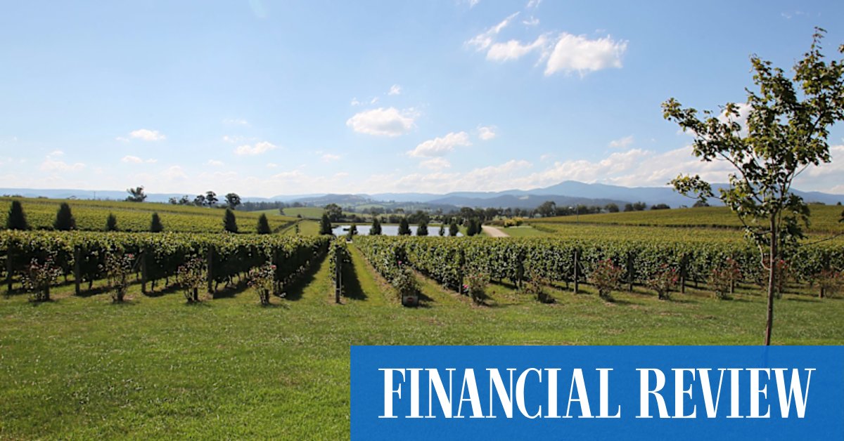 Woolworths' Endeavour mulls Oakridge Wines - Vimarsana News