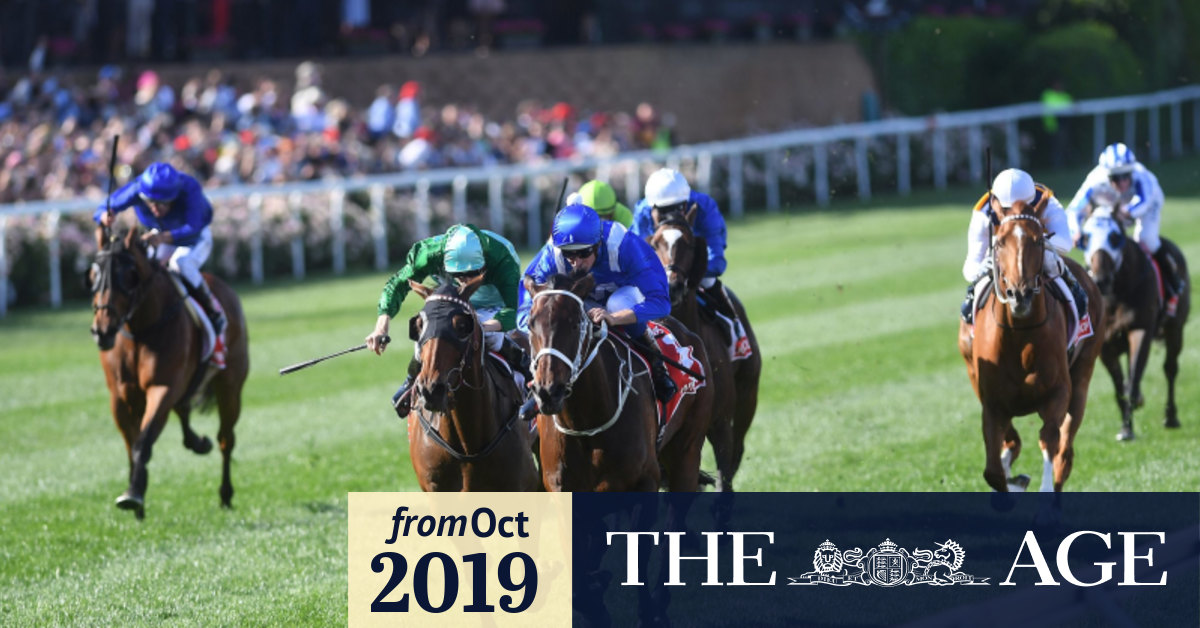 Cox Plate 2019 Blake Shinn To Fly More Than 7000km Just In The Hope There Is A Scratching To Open Door For Humidor