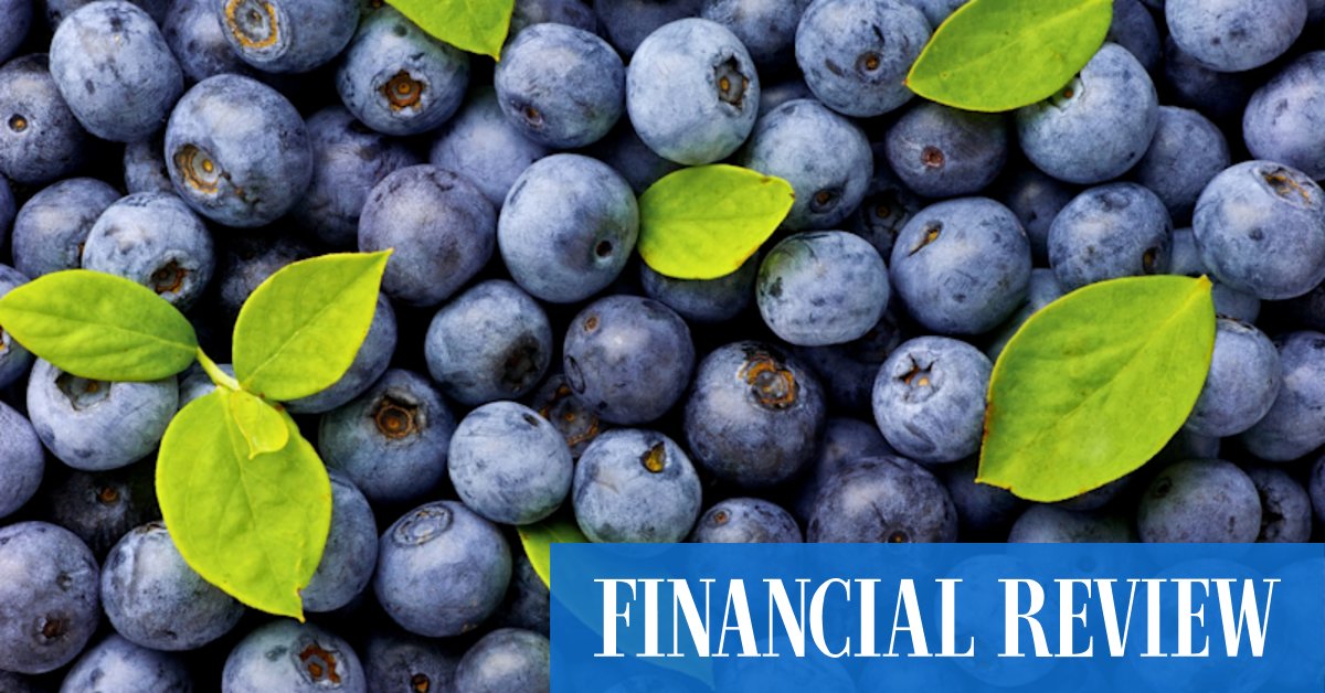 Macquarie in pole position after raising offer for Vitalharvest - Vimarsana News