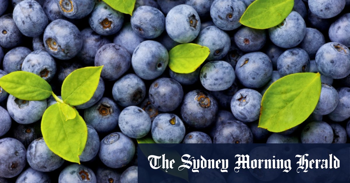 Why are blueberries so cheap at the moment