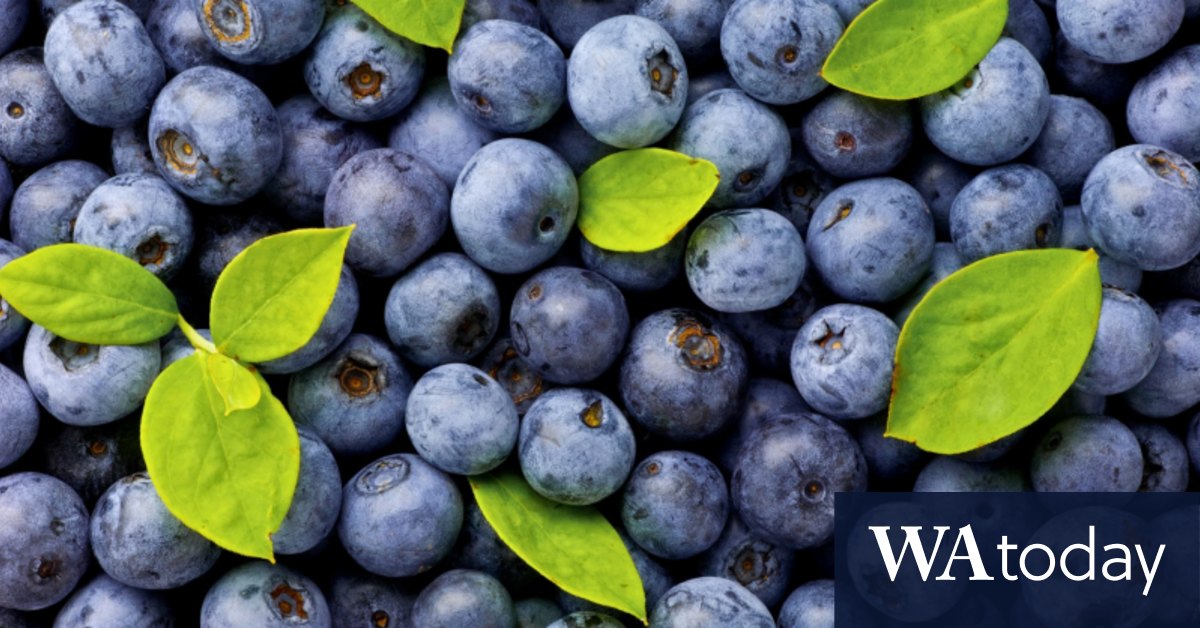 Why blueberries are so cheap right now Flipboard