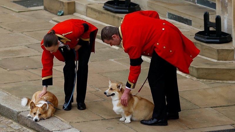 Mourning corgis, an iconic salute: What you missed from the Queen’s funeral