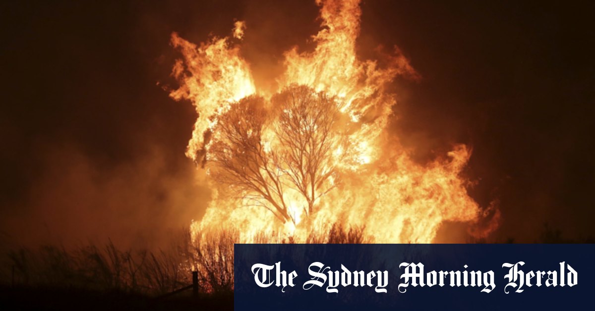 NSW bushfire inquiry finds unintended backburns must be scrutinised - Vimarsana News