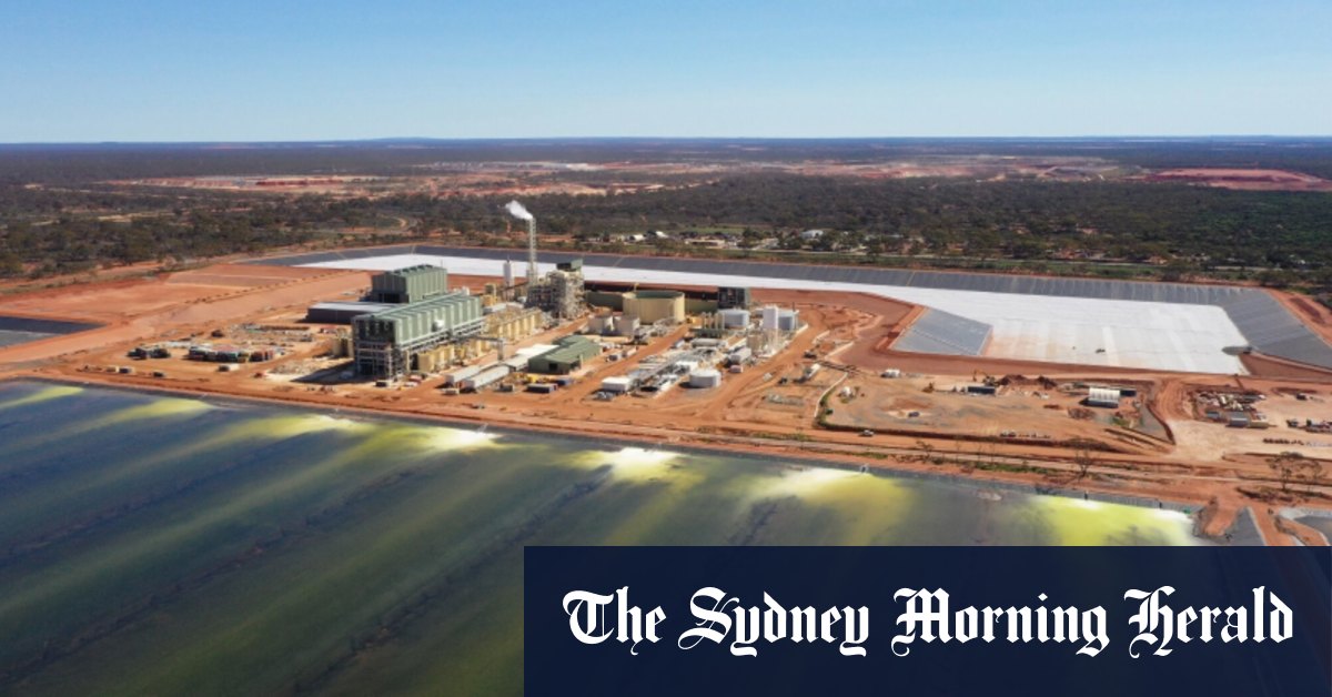 Australia will use rare earths to try to dodge US trade war