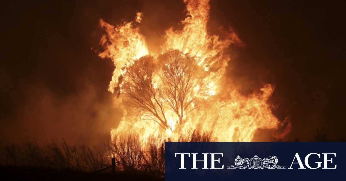Assessing our response to the Black Summer bushfires - Vimarsana News