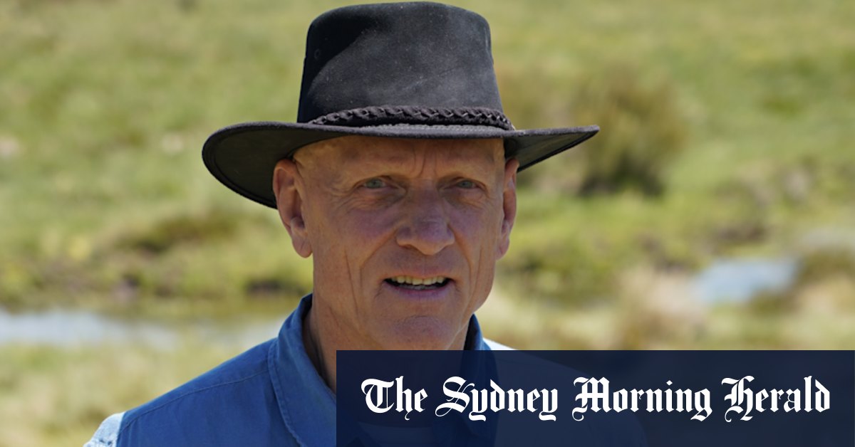 'National disgrace': Garrett calls for feral horse removal to save Kosciuszko - Vimarsana News