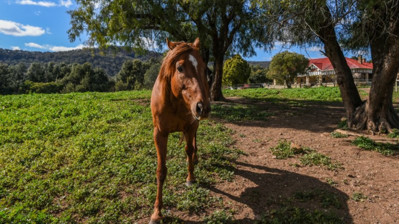 Bylong mine rejected for groundwater, 'problematic' carbon emissions