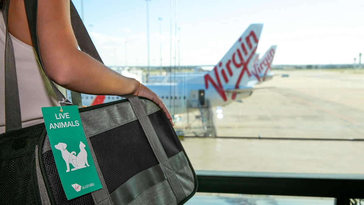 Pet-friendly flights take off from another Aussie city