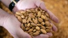 Select Harvests has been hit by a  10-year low in almond prices and higher water costs.
