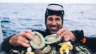 MUST CREDIT:?Russell Ord / Andre Rerekura Abalone sea rancher Brad Adams from Oga at Augusta, WA.? Ocean Grown Abalone on artificial reefs (concrete pyramid shapes pictured).