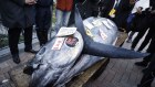 The most expensive tuna sold at this year’s first auction displayed outside Toyosu Market in Tokyo.