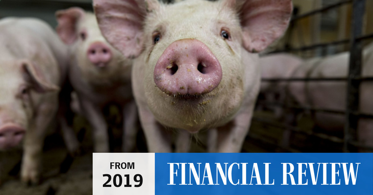 China's back in the market for hogs and so are hedge funds