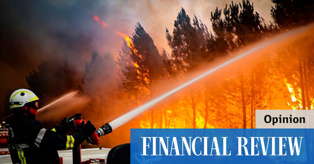PwC scandal: Firefighter helmets on, PwC hands Allegro the hose - Vimarsana News