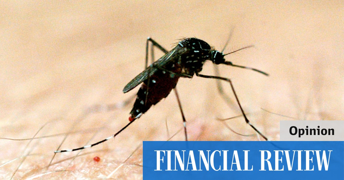 Mosquitoes are not repelled by vitamins - Vimarsana News