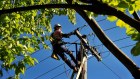 Demand for transport infrastructure is still driving Sydney's peak electricity use higher. 