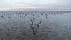 Storages are full and there’s more rain coming. Good times for irrigators.