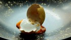 Golden Egg at Sepia in Sussex Street, Sydney.
