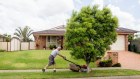 Mowing, fertilising and regular watering cause green spaces to often have a similar mix of microbes just beneath the soil in different parts of the world.
