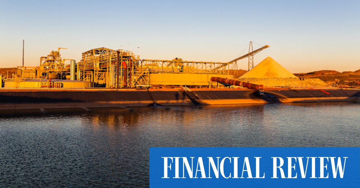 Buy, hold, sell: Liontown, Pilbara Minerals, De Grey, Aeris, Paladin Energy - Vimarsana News