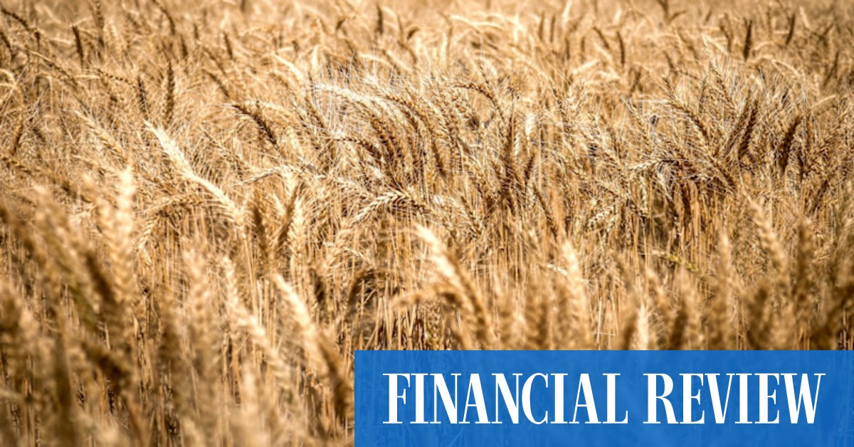 Bunge, Viterra grains mega-merger to reshape Australian farm exports - Vimarsana News