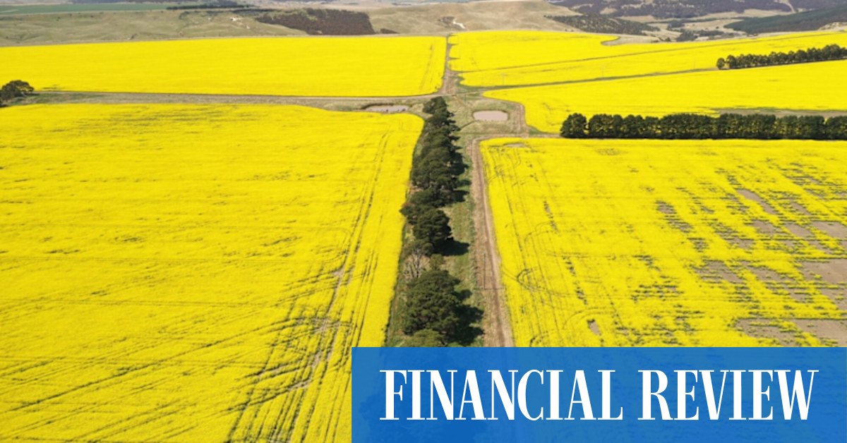 Biofuels boom: Cargill, CBH Group planning large-scale oilseed crushing plant in WA in fresh blow to GrainCorp growth plans - Vimarsana News