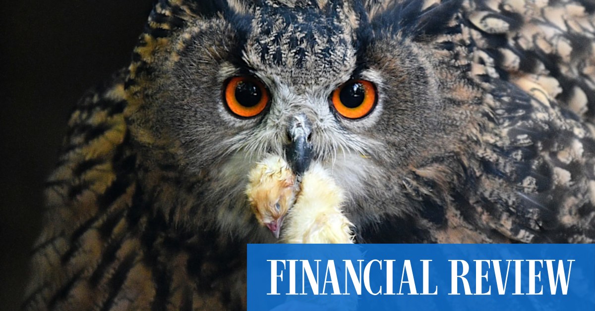 Jennifer Ackerman's What An Owl Knows is a fascinating insight into the world of owls - Vimarsana News