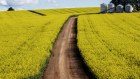 Investing in the environment is about providing farmers and other landholders with the tools they need to attract investment by showcasing the true value of their environmental management. 