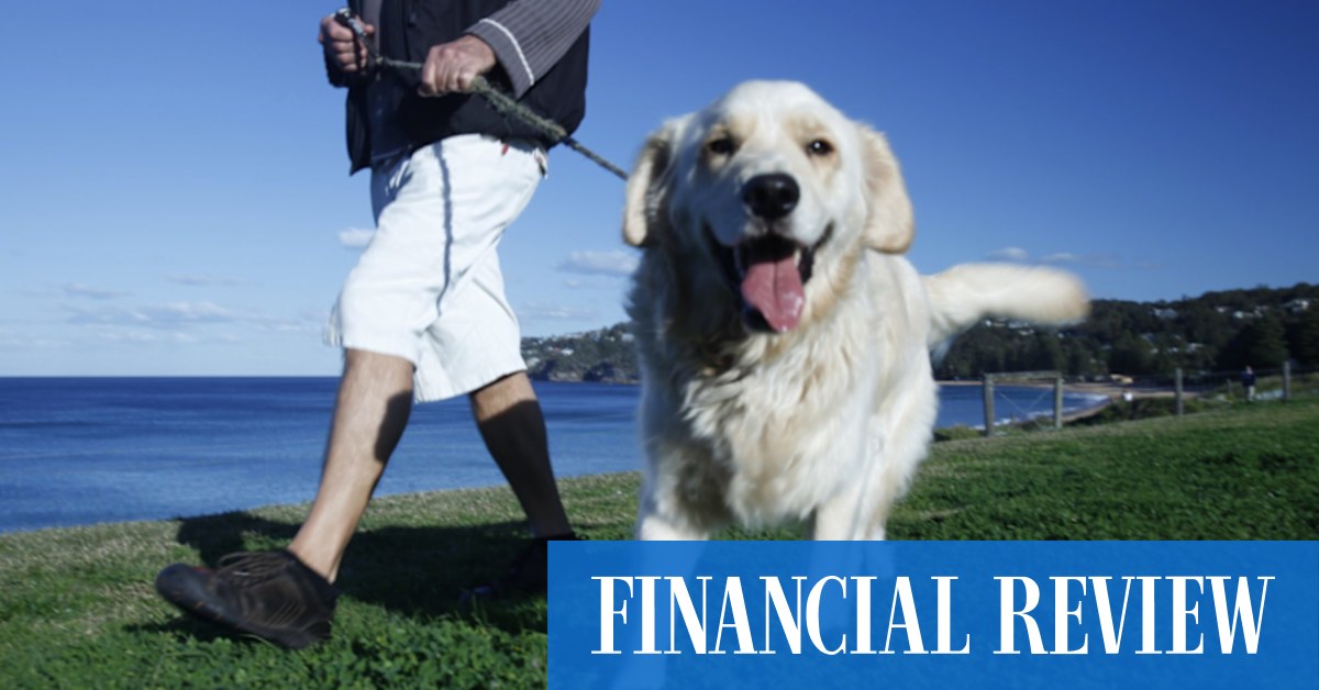 Mad Paws acquires Pet Chemist, kicks off raising - Vimarsana News