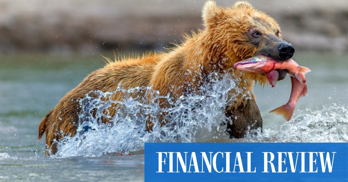 Email productivity: former Google Ventures executive John Zeratsky ... - The Australian Financial Re