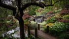 Windyridge dates from 1877, with the first tree, a Swiss Christmas Tree, planted in August 1945. Now the garden includes cedrus deodara, copper beech, pin oaks, maples, ginkos, azaleas, rhododendrons, dogwoods and nyssas.