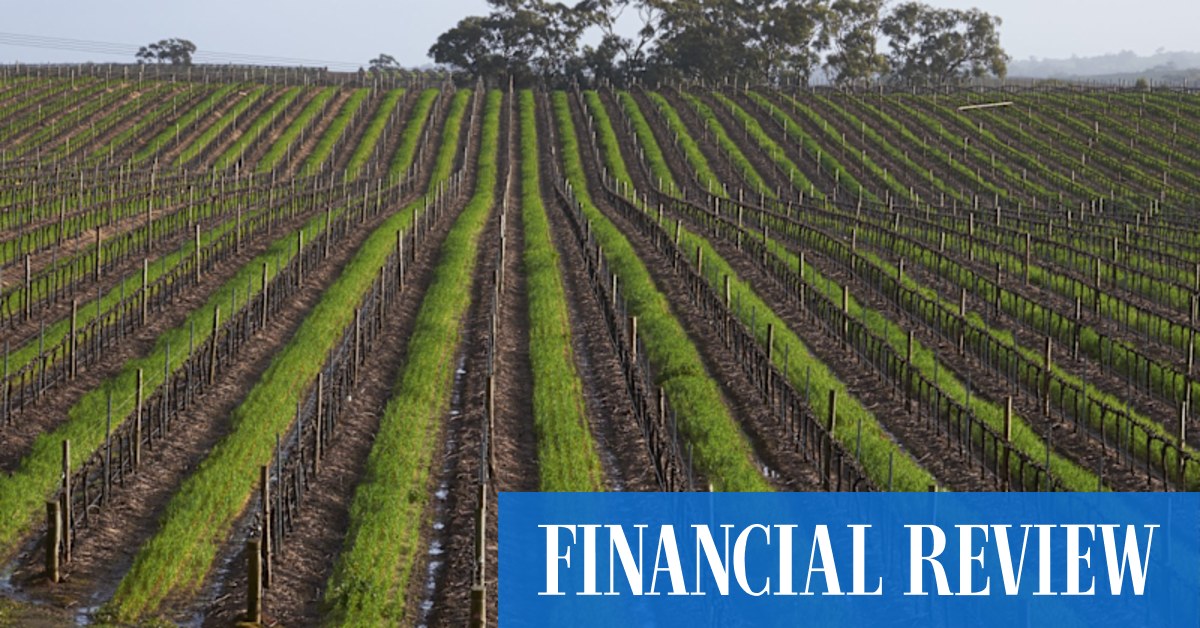 Platinum Equity stalks Carlyle Group's Accolade Wines - Vimarsana News