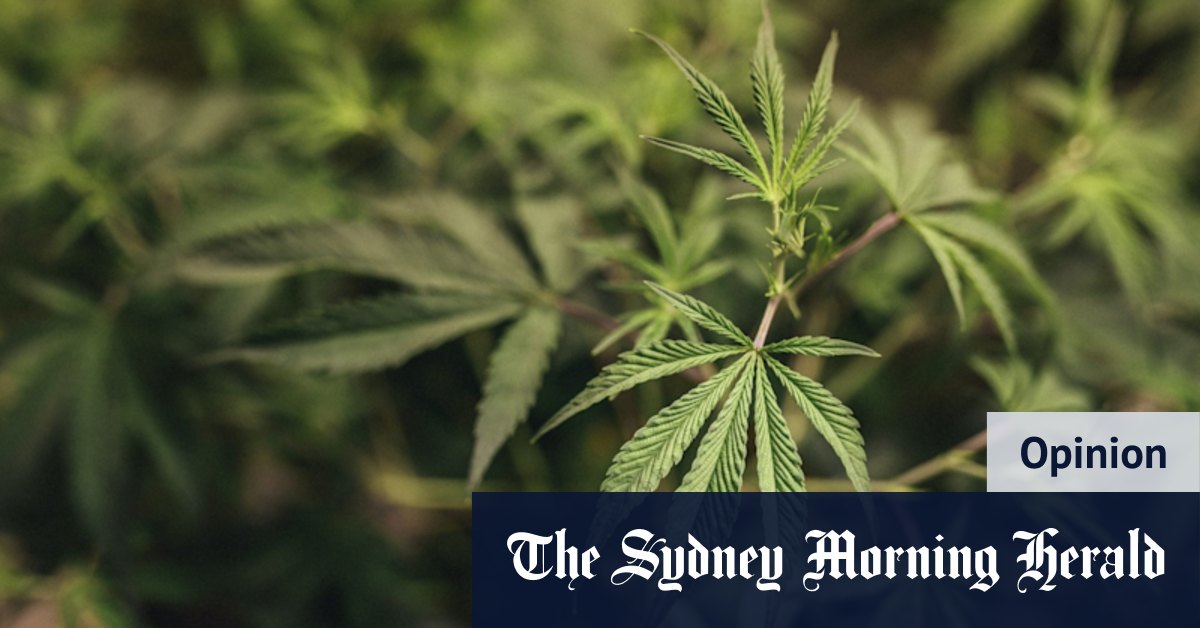 Cannabis reform not as likely as some voters may hope