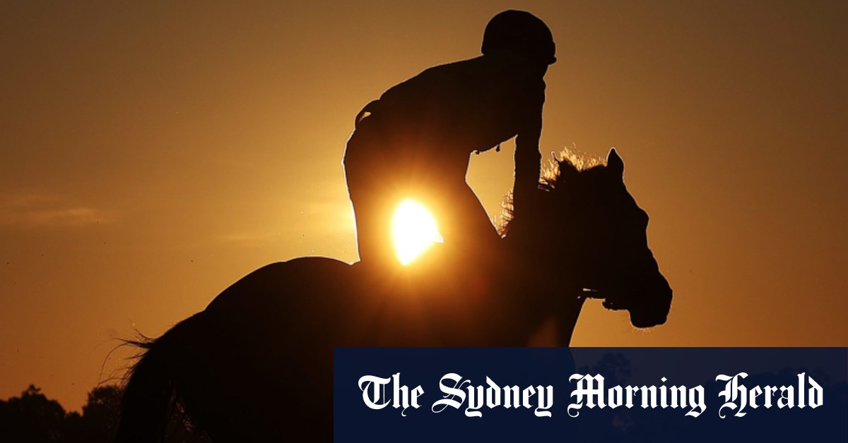 Race-by-race preview and tips for Goulburn on Monday