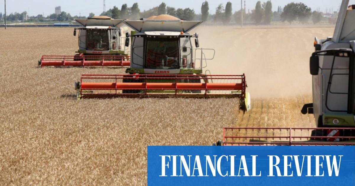 Пшеница достигла четырехмесячного максимума, поскольку трейдеры оценивают риски из России