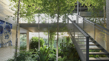 A leafy Melbourne courtyard designed by Brockhoff