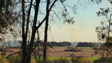 Land clearing has been an ongoing issue in northern NSW, including in the region where Glen Turner, on OEH officer, was murdered by a farmer in 2014.