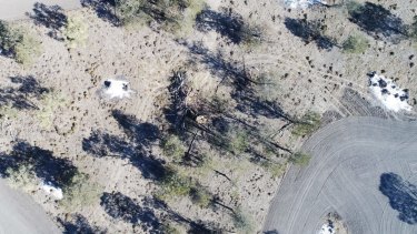 Land-clearing north of Moree in NSW in August 2017.