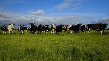 Australia's national farm representative group has endorsed a policy for an Australia-wide goal for net zero greenhouse gas emissions by 2030.
