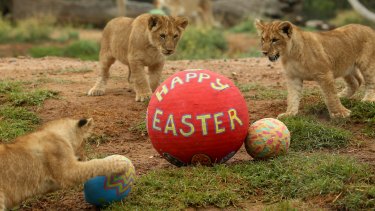 Crown casino melbourne easter trading hours today