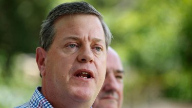 Former LNP leader Tim Nicholls will head up the review.