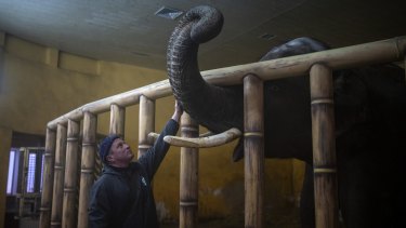 Animal keeper Kirilo Trantin comforts an elephant at the Kiev Zoo in Kyiv, Ukraine. 
